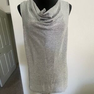 Ann Taylor Shimmering Silver Top